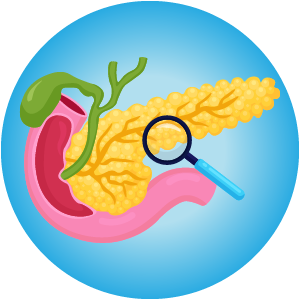 All-Tenet-Endocrine-Grapahics-300x300_06 check up