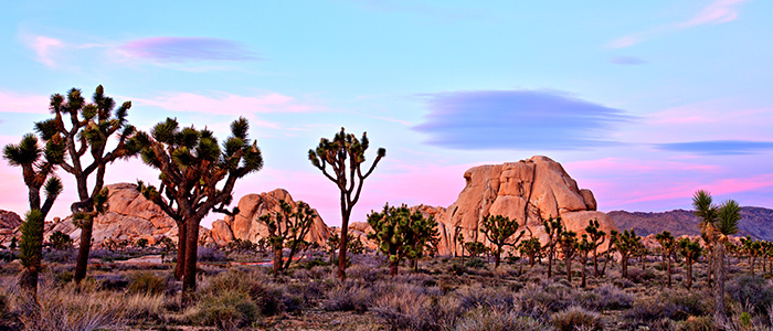 image-2-700x300