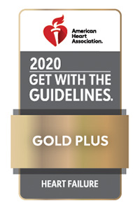 GWTG_HF-PLUS_2020_Gold_4C