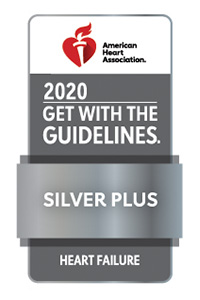 GWTG_HF-PLUS_2020_Silver_4C